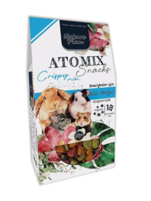 NATURE PLAN ATOMİX SNACKS MİXTURE 250 GR - 12'Lİ .6